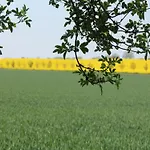 Geraeumige In Mit Garten