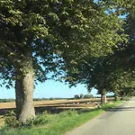 Geraeumige In Mit Garten Boddin