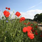 Geraeumige In Mit Garten