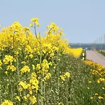 Geraeumige In Mit Garten Boddin