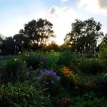 Geraeumige In Mit Garten Boddin