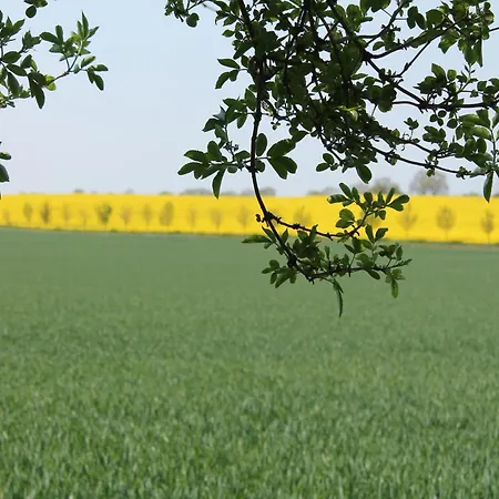 Geraeumige In Mit Garten