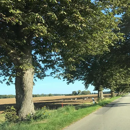 Geraeumige In Mit Garten Boddin