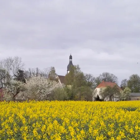Apartment Geraeumige In Mit Garten