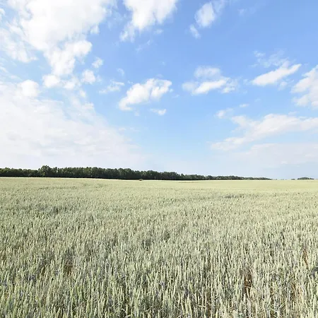 Geraeumige In Mit Garten *