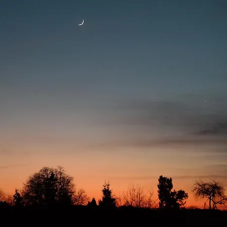 Geraeumige In Mit Garten Apartment