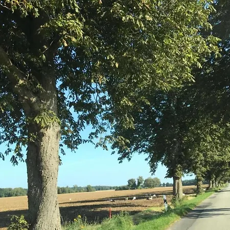 Geraeumige In Mit Garten Appartamento