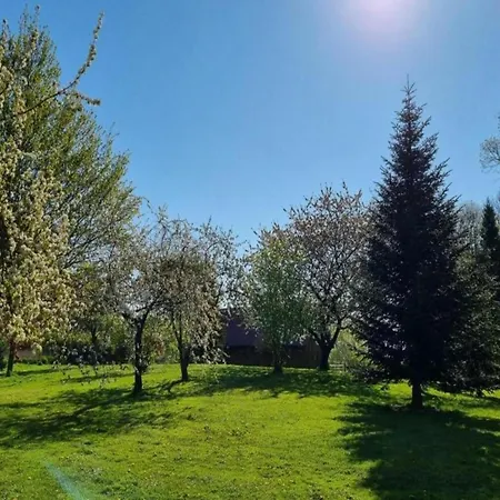 Appartamento Geraeumige In Mit Garten Boddin