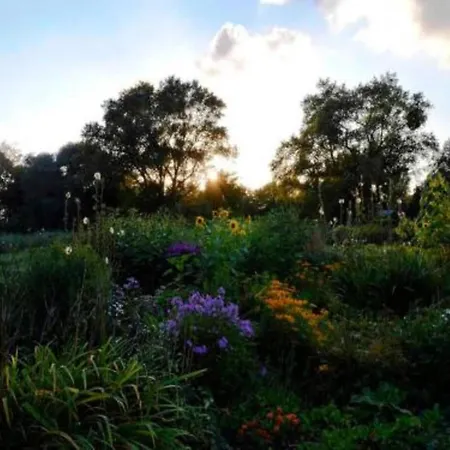 Geraeumige In Mit Garten Boddin