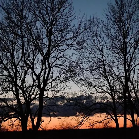 Geraeumige In Mit Garten * Boddin