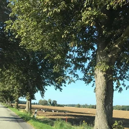 Geraeumige In Mit Garten *