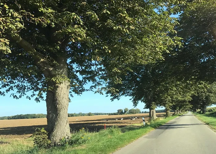 Geraeumige In Mit Garten Boddin