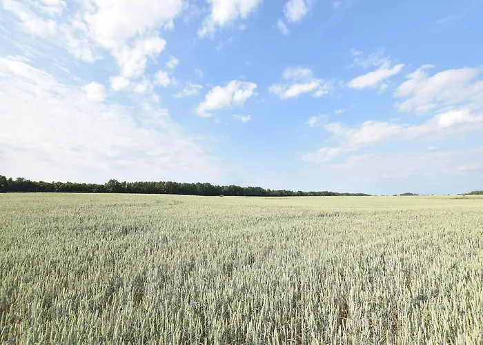 Geraeumige In Mit Garten *