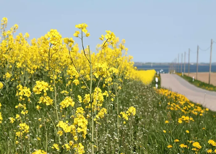 Geraeumige In Mit Garten Boddin