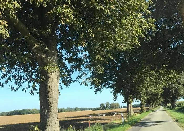 Geraeumige In Mit Garten Apartamento