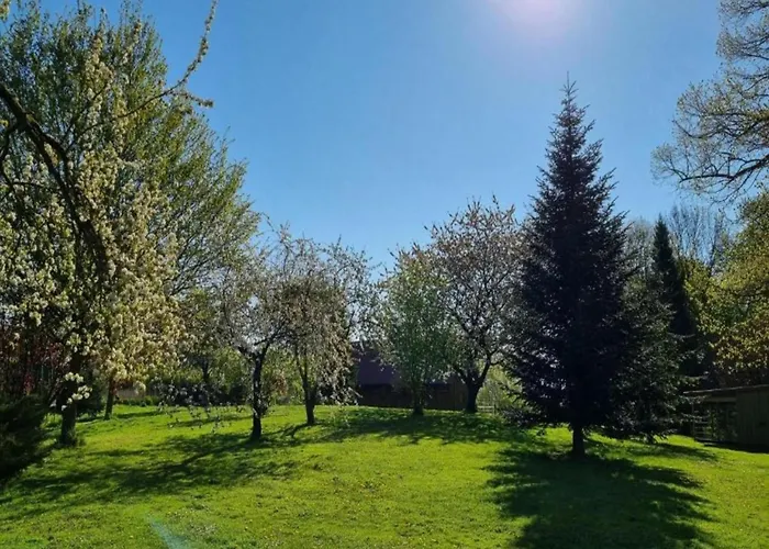 Apartamento Geraeumige In Mit Garten Boddin