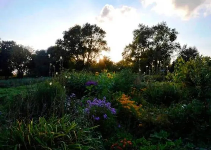 Geraeumige In Mit Garten Boddin