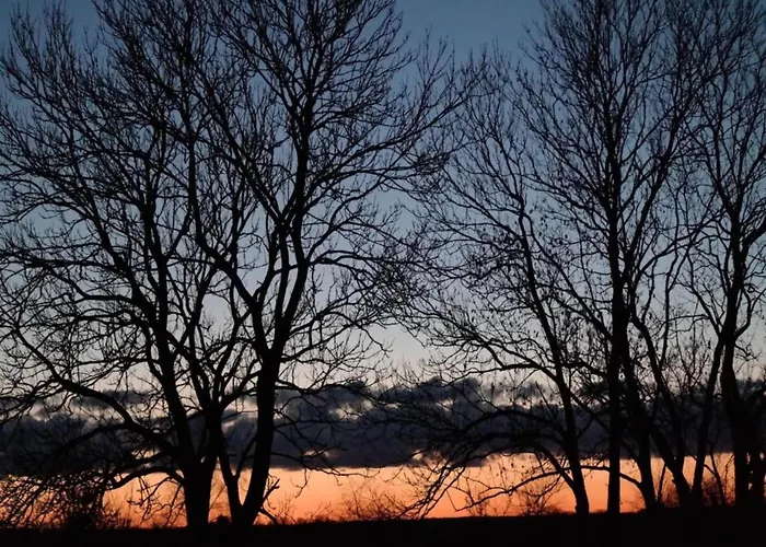 Geraeumige In Mit Garten * Boddin