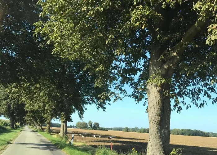 Geraeumige In Mit Garten *